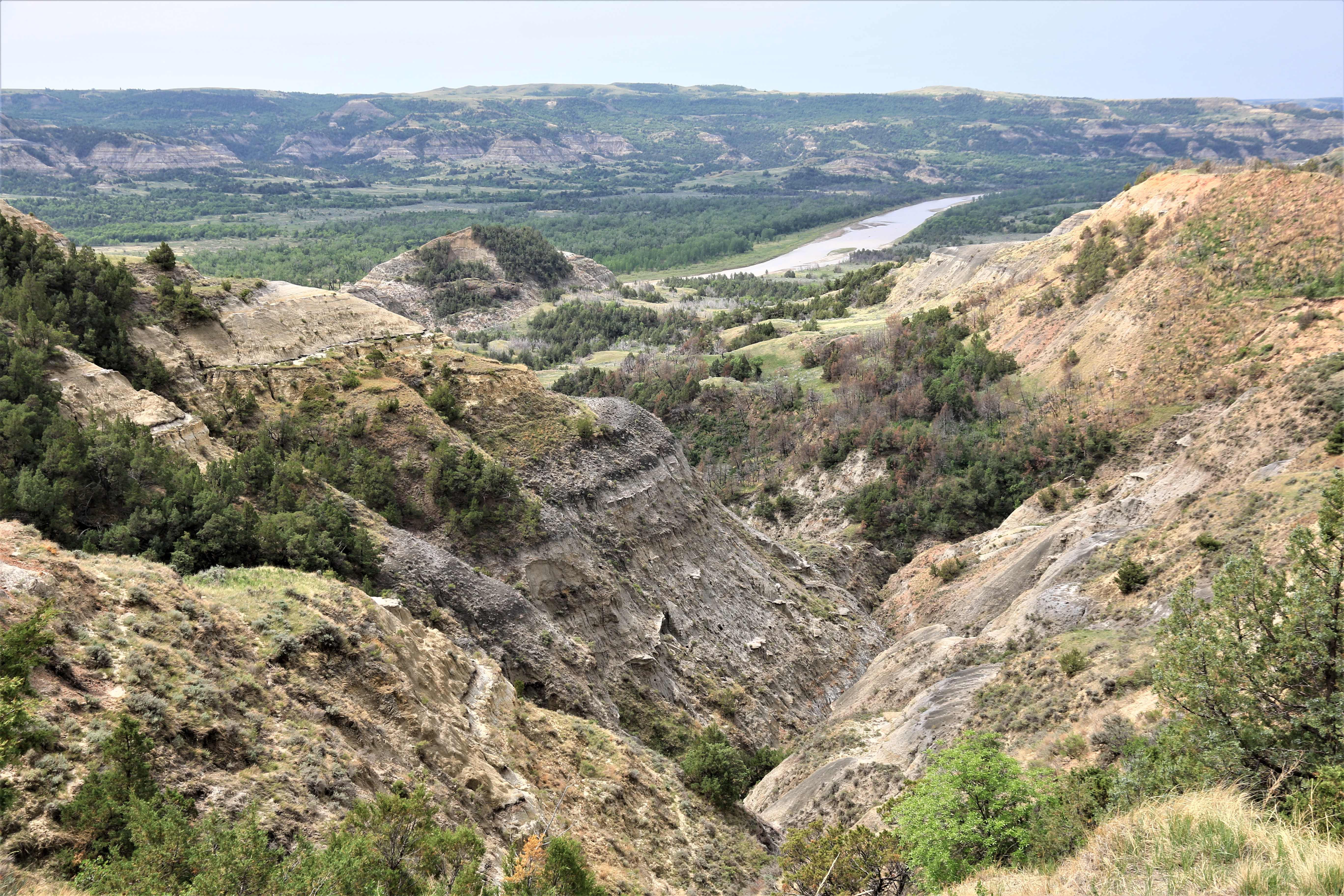 Theodore Roosevelt NP